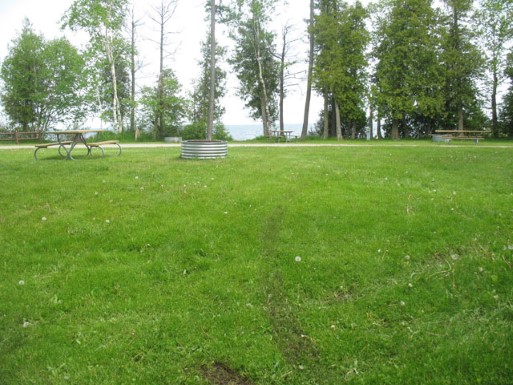 Site 47, photo 2 of 2 · from midnrreservations.com (the park's booking system)