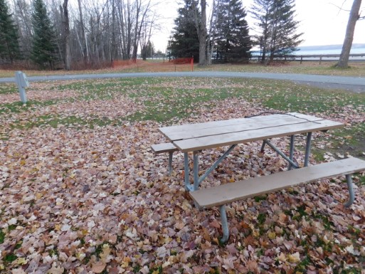 Site 63, photo 3 of 3 · from midnrreservations.com (the park's booking system)