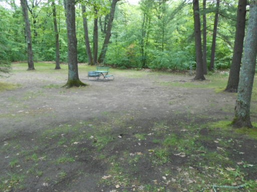 Site 1