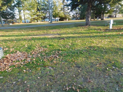 Site 46, photo 2 of 3 · from midnrreservations.com (the park's booking system)