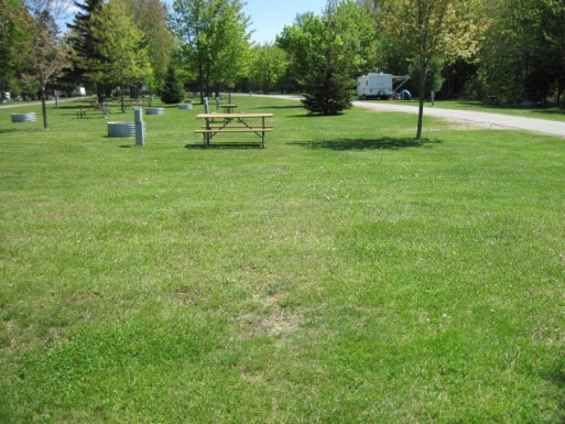 Site 3, photo 2 of 2 · from midnrreservations.com (the park's booking system)