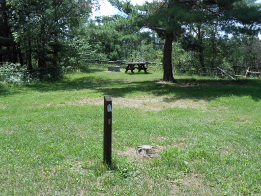 Site 7, photo 3 of 3 · from midnrreservations.com (the park's booking system)
