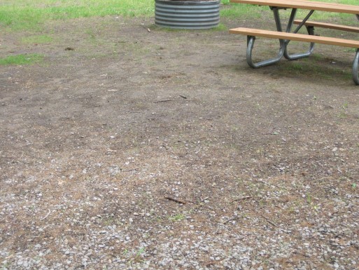 Site 5, photo 3 of 3 · from midnrreservations.com (the park's booking system)