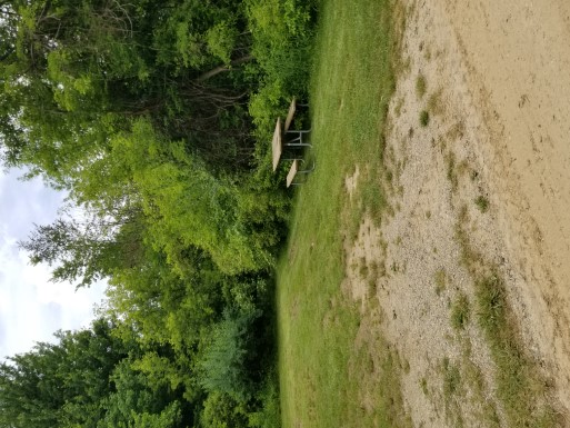 Site 47, photo 2 of 2 · from midnrreservations.com (the park's booking system)