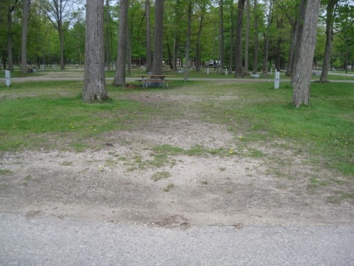 Site 164, photo 3 of 3 · from midnrreservations.com (the park's booking system)