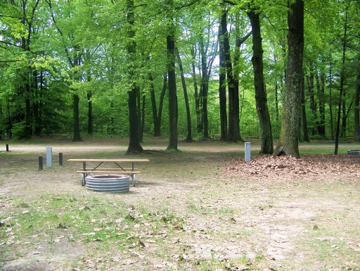 Site 235, photo 2 of 2 · from midnrreservations.com (the park's booking system)