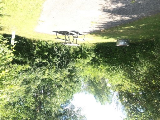Site 46, photo 2 of 2 · from midnrreservations.com (the park's booking system)