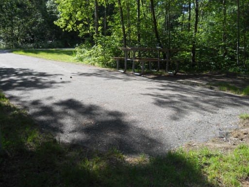 Site 27
