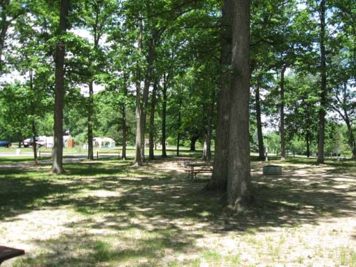 Site 20, photo 2 of 3 · from midnrreservations.com (the park's booking system)