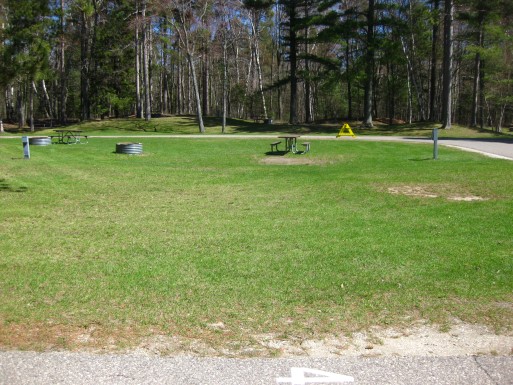 Site 45, photo 2 of 2 · from midnrreservations.com (the park's booking system)