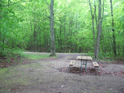 Site 18, photo 3 of 3 · from midnrreservations.com (the park's booking system)