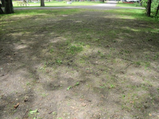 Site 1, photo 2 of 3 · from midnrreservations.com (the park's booking system)