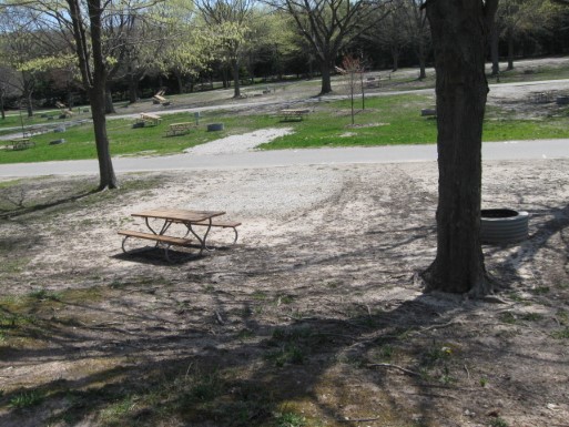 Site 14, photo 2 of 2 · from midnrreservations.com (the park's booking system)