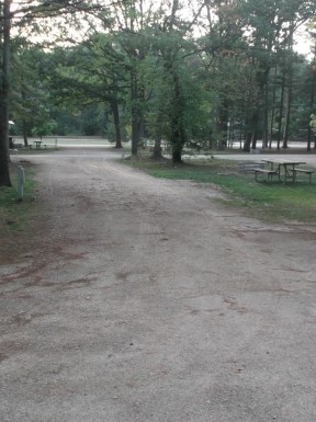Site 84, photo 2 of 2 · from midnrreservations.com (the park's booking system)