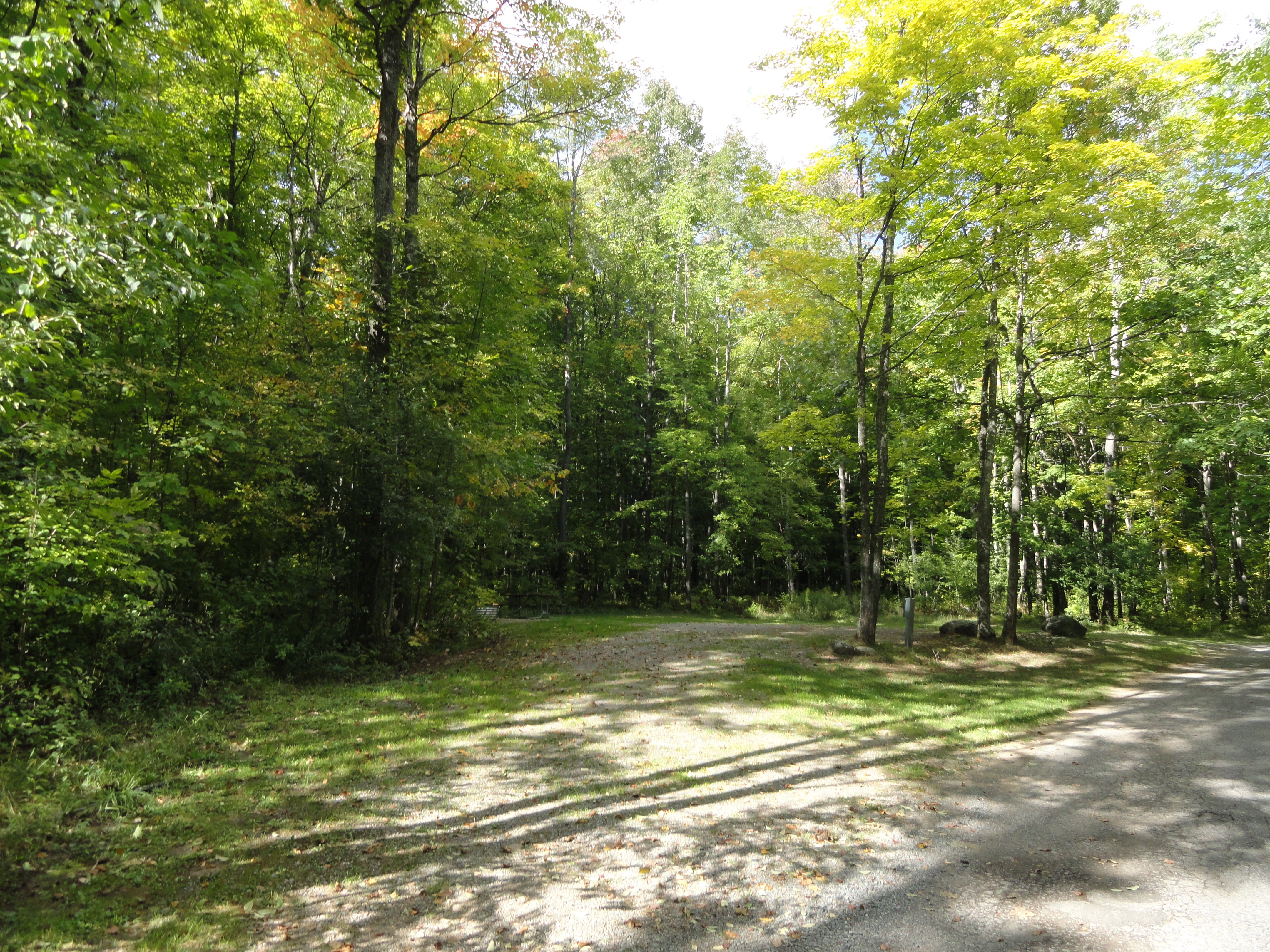 Site 82, photo 2 of 2 · from midnrreservations.com (the park's booking system)