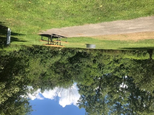 Site 7, photo 2 of 2 · from midnrreservations.com (the park's booking system)