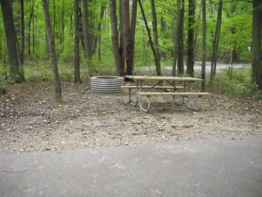 Site 142, photo 3 of 3 · from midnrreservations.com (the park's booking system)