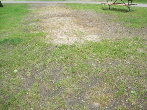 Site 8, photo 2 of 3 · from midnrreservations.com (the park's booking system)