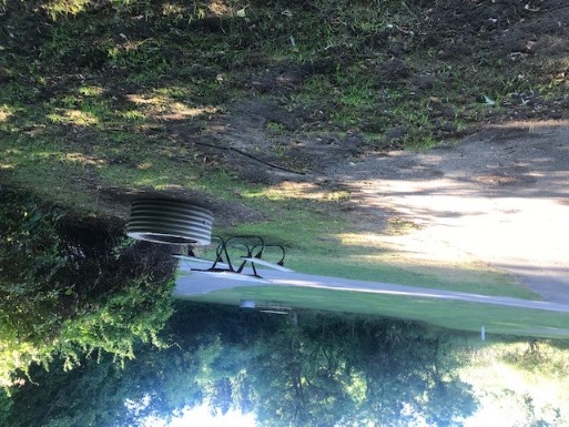 Site 75, photo 2 of 2 · from midnrreservations.com (the park's booking system)
