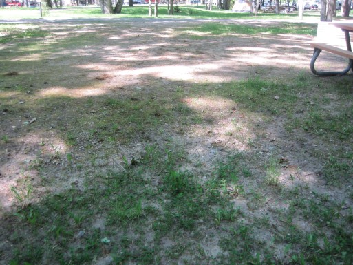 Site 2, photo 2 of 3 · from midnrreservations.com (the park's booking system)
