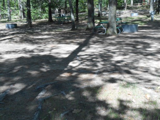 Site 114