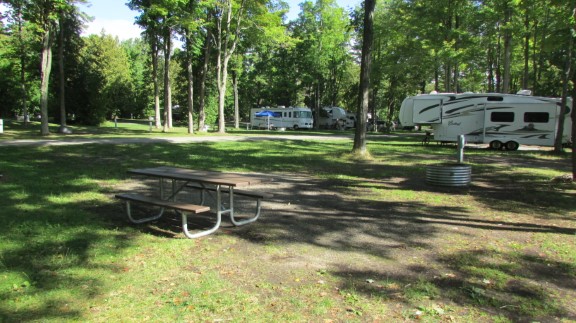 Site 145, photo 2 of 2 · from midnrreservations.com (the park's booking system)