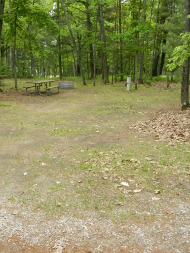Site 2, photo 2 of 2 · from midnrreservations.com (the park's booking system)