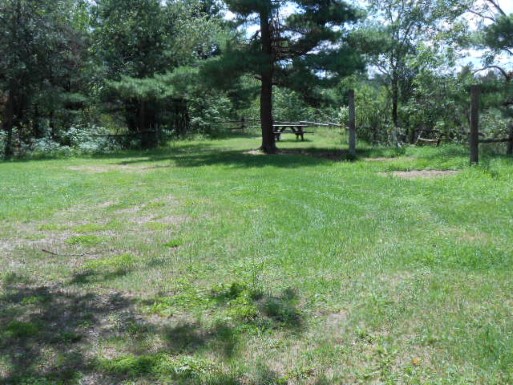 Site 7, photo 2 of 3 · from midnrreservations.com (the park's booking system)