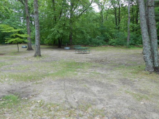 Site 4