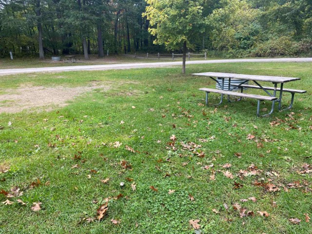 Site 3, photo 2 of 3 · from midnrreservations.com (the park's booking system)