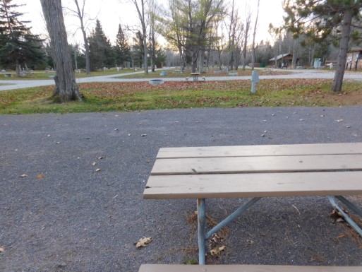 Site 88, photo 3 of 3 · from midnrreservations.com (the park's booking system)