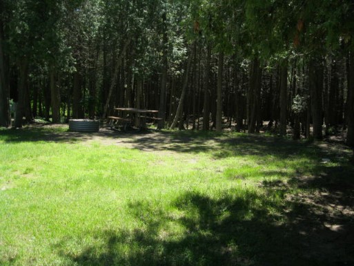 Site 34, photo 2 of 2 · from midnrreservations.com (the park's booking system)