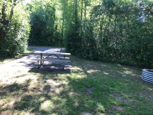 Site 50, photo 2 of 2 · from midnrreservations.com (the park's booking system)