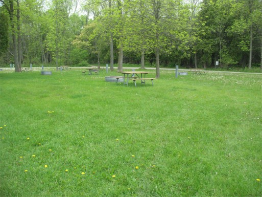 Site 87, photo 2 of 3 · from midnrreservations.com (the park's booking system)