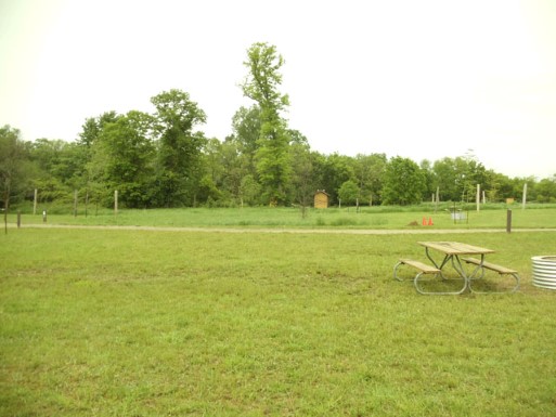 Site 8, photo 2 of 2 · from midnrreservations.com (the park's booking system)