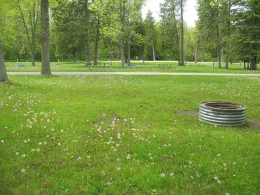 Site 63, photo 2 of 3 · from midnrreservations.com (the park's booking system)
