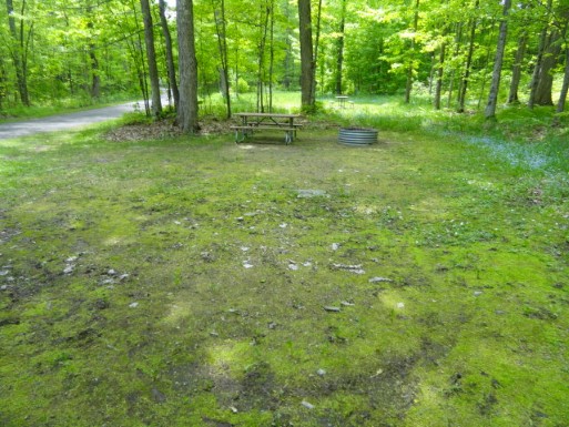 Site 20, photo 3 of 3 · from midnrreservations.com (the park's booking system)