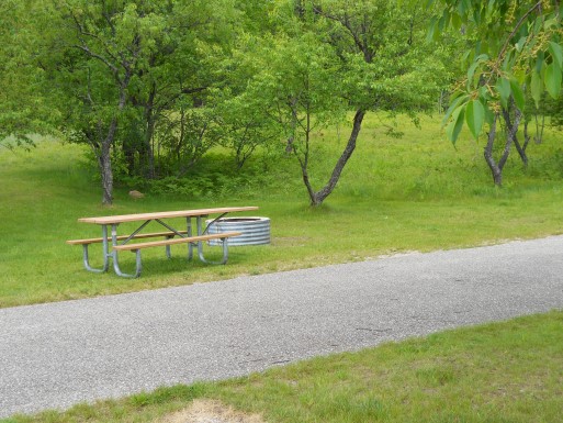 Site 4