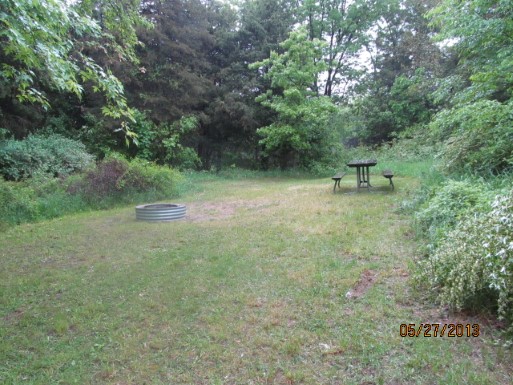 Site C12, photo 2 of 2 · from midnrreservations.com (the park's booking system)