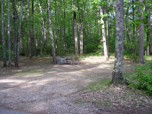 Site 213, photo 2 of 2 · from midnrreservations.com (the park's booking system)