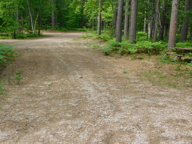 Site 9, photo 2 of 2 · from midnrreservations.com (the park's booking system)