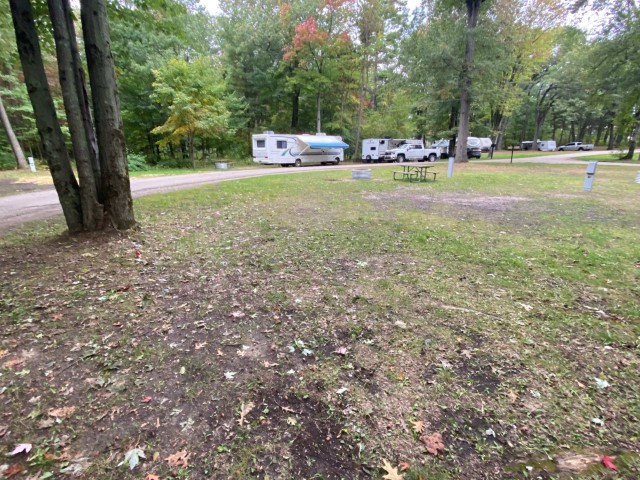 Site 41, photo 2 of 2 · from midnrreservations.com (the park's booking system)