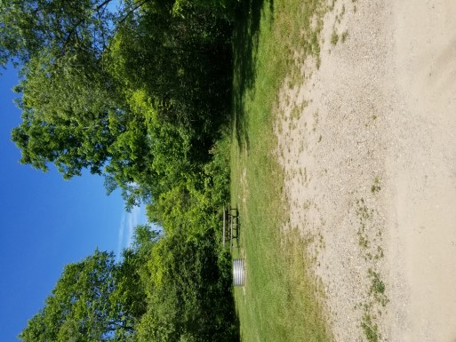 Site 31, photo 2 of 2 · from midnrreservations.com (the park's booking system)