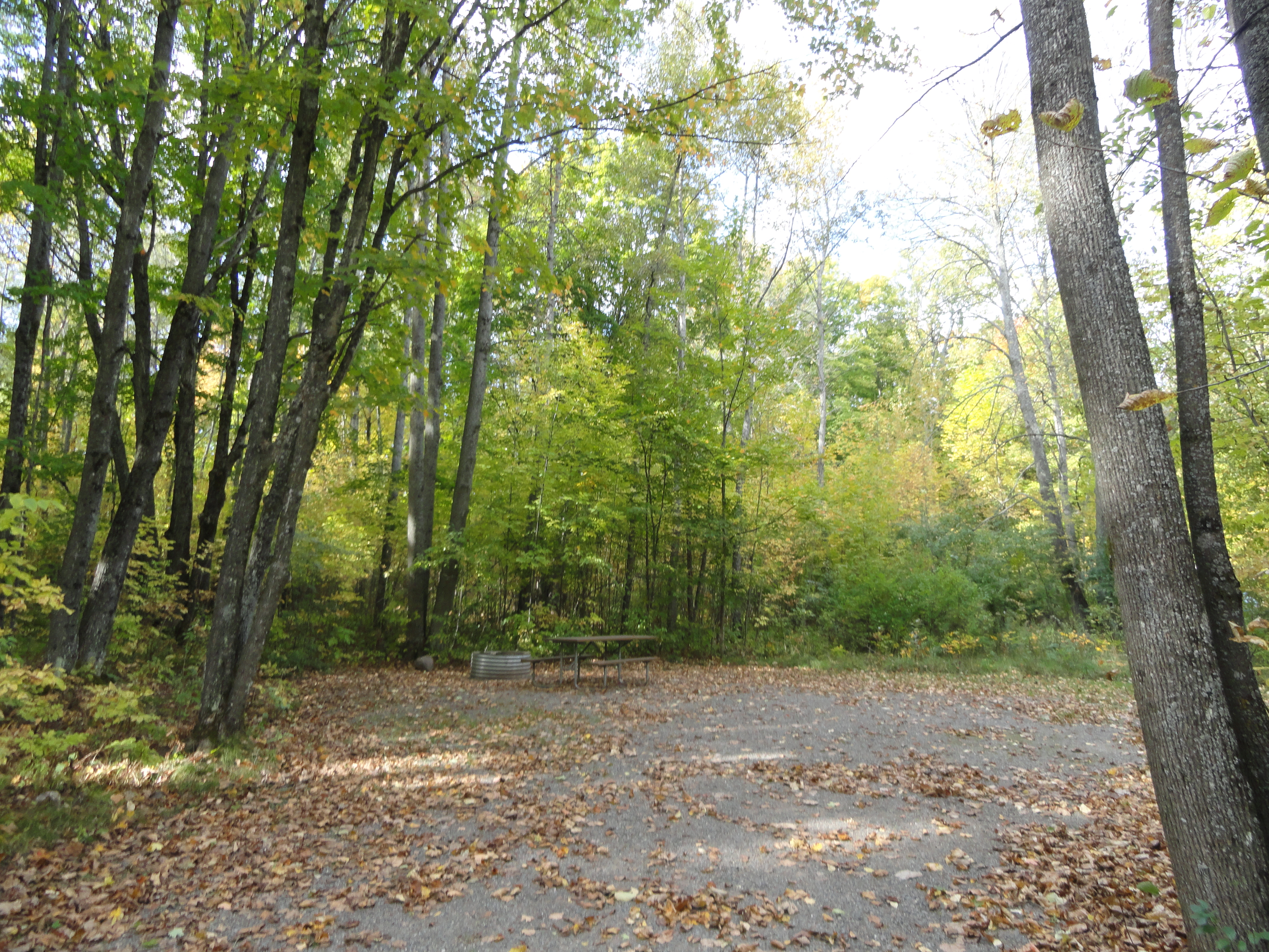 Site 89, photo 2 of 3 · from midnrreservations.com (the park's booking system)