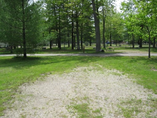Site 174, photo 3 of 3 · from midnrreservations.com (the park's booking system)