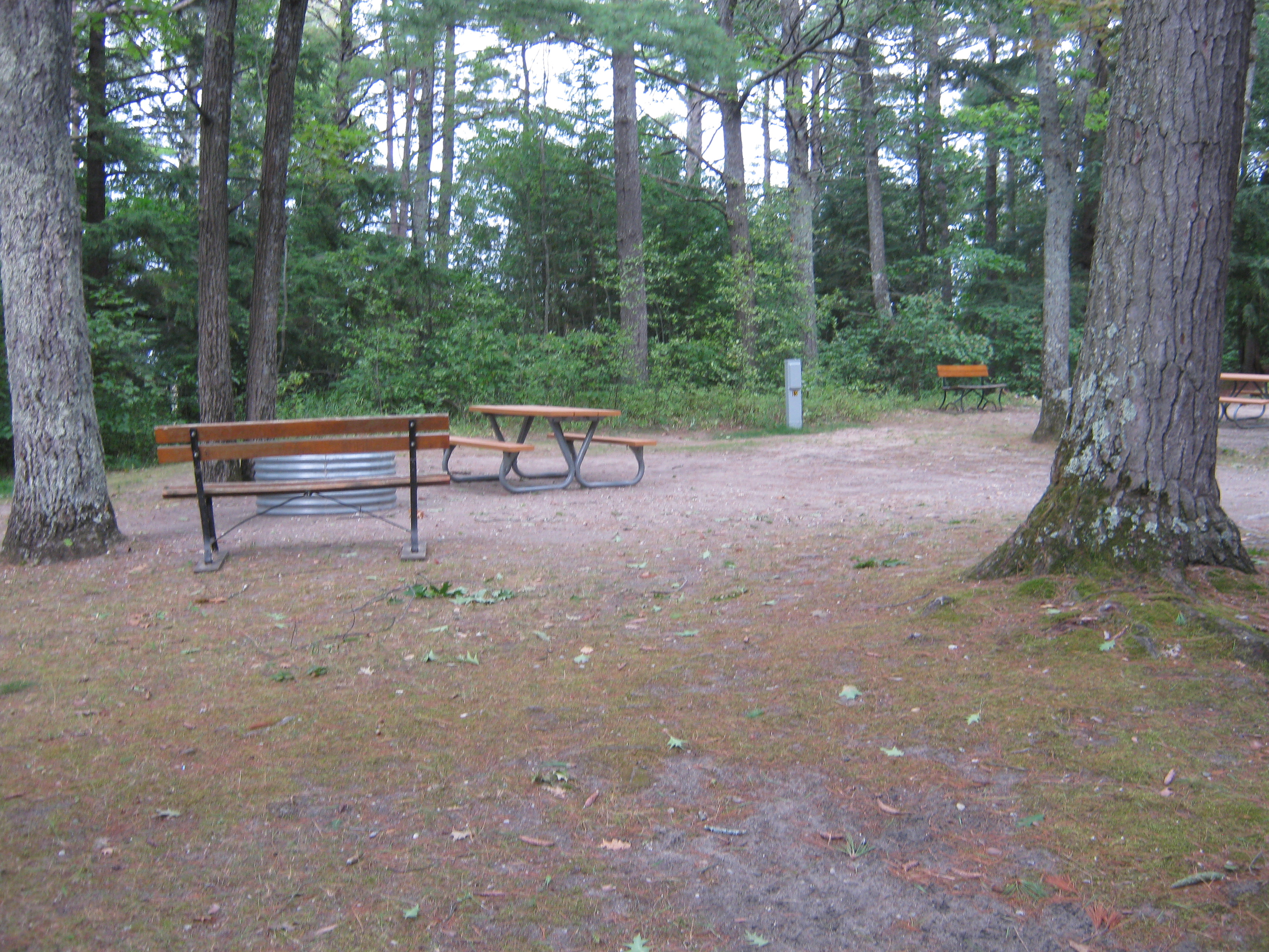 Site 15, photo 2 of 2 · from midnrreservations.com (the park's booking system)