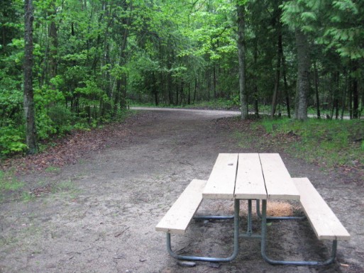 Site 10, photo 3 of 3 · from midnrreservations.com (the park's booking system)