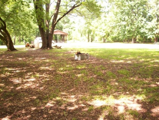 Site 6, photo 3 of 3 · from midnrreservations.com (the park's booking system)