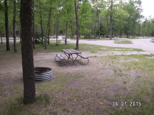 Site 165, photo 3 of 3 · from midnrreservations.com (the park's booking system)