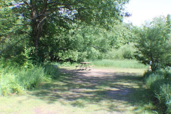 Site 81, photo 2 of 2 · from midnrreservations.com (the park's booking system)